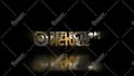 create premium custom 2d and 3d logo animation and video intro