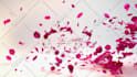 create an nature flower flying leaves intro