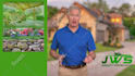 create a white screen spokesperson video