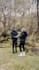 do wedding video editing or marriage proposal