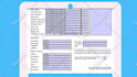 create animated explainer video or 2d animation marketing commercial video