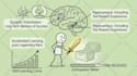 create professional 2d stickman animation explainer videos