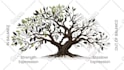 do clean minimalist motion graphics explainer or apple style corporate ads