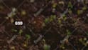 create a sermon or series graphic and sermon bumper