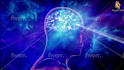 create exclusive HD meditation relaxing music videos
