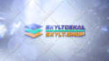create premium 3d logo animation and intro video