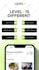 do professional canva video editing and facebook ads design