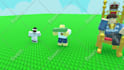make a professional roblox animation for you