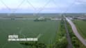 do real estate drone video editing with motion graphics
