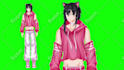 design and rigging your live2d vtuber model in anime style for stream