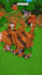 create viral minecraft shorts videos with building editing and recording