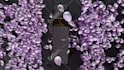 3d product animation and promo video
