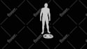 create 3d short animations like zack d films