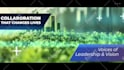 edit any  envato , videohive after effects templates