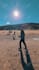 offer professional cinematic insta360 video editing