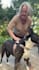 create pet ugc videos with my two dogs