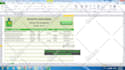 compose advanced excel formulas and automate excel with vba