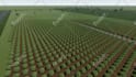 do landscape garden architecture, garden design sustainable