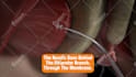 do custom 3d product, science and medical animation