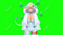 design and rigging high quality live 2d vtuber model