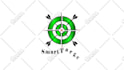 animate motion graphics and animated logo very quickly