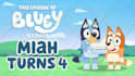 create a personalized bluey birthday greeting video