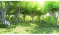 create an animated lofi loop background