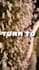 make you an aesthetic edit on any genre