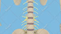 do 3d medical and scientific modeling and animation