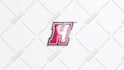 do professional logo animation fast and stylish designs