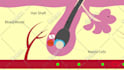 create medical or healthcare 2d animated explainer video