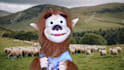 have scotty the wolf create a custom puppet video