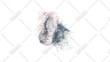 morph your old logo into new one
