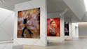 create 3d museum animation showcase video using your art gallery