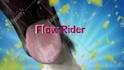 create this funny horse video ad to promote your business