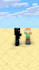create minecraft 3d animation