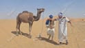 do tik tok dance, dance video, dance camel, group dance