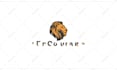 create custom logo animation for your brand