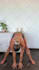 create a fitness workout video