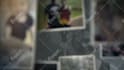 create a memorial, funeral, or tribute slideshow video