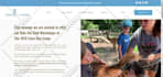 develop wix website redesign or squarespace website design