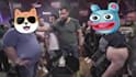 do face swap, head change, gif editing, and crypto meme video editing