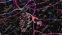 make map animation with after effects