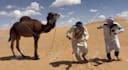 do tik tok dance, dance video, dance camel, group dance