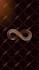 animate music artwork, album cover motion, motion graphics
