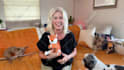 create dog ugc ads for your pet products or services