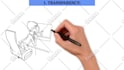 create whiteboard animation video with voiceover in 24 hours