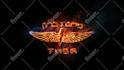 provide high quality 2d or 3d logo animation templates