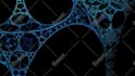 create a 3d psychedelic fractal animation for your trippy music