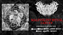create epic music visualizer for heavy metal stream